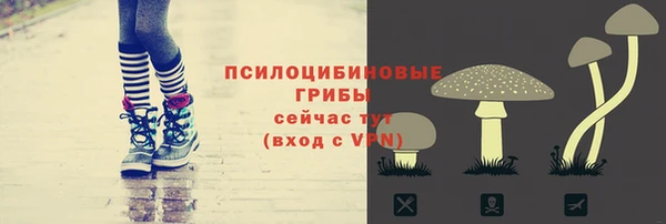 винт Арсеньев