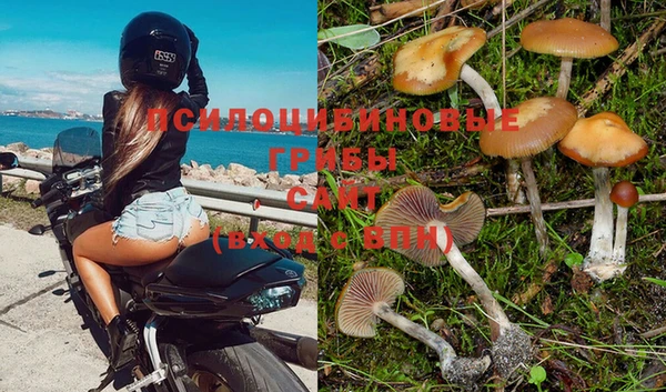 дживик Алексеевка