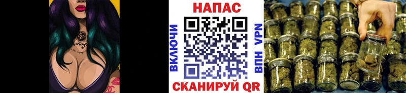 Конопля OG Kush  Новодвинск 